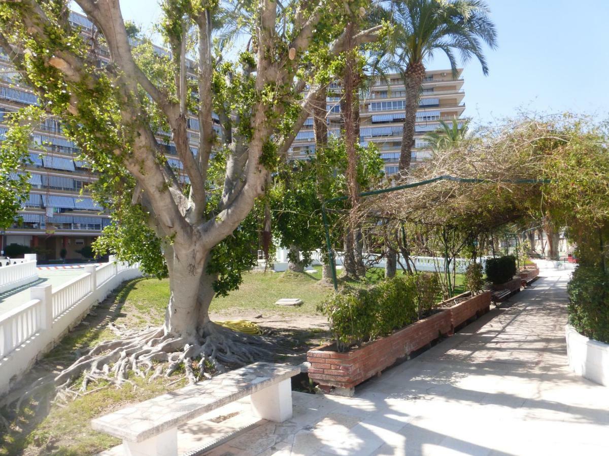 Family And Friends - San Juan Playa Appartement Alicante Buitenkant foto